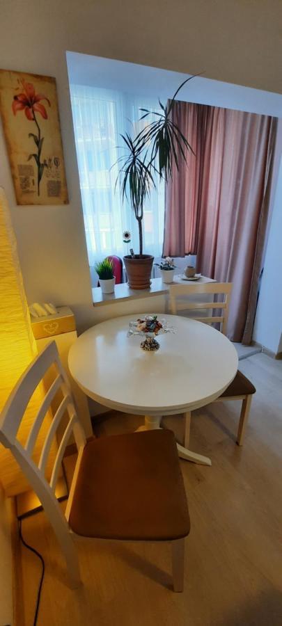Farmec Studio Apartment Cluj-Napoca Ngoại thất bức ảnh