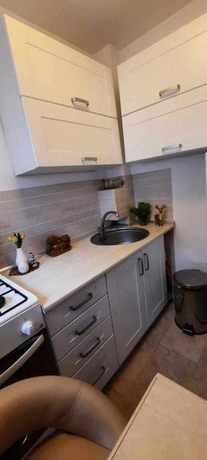 Farmec Studio Apartment Cluj-Napoca Ngoại thất bức ảnh