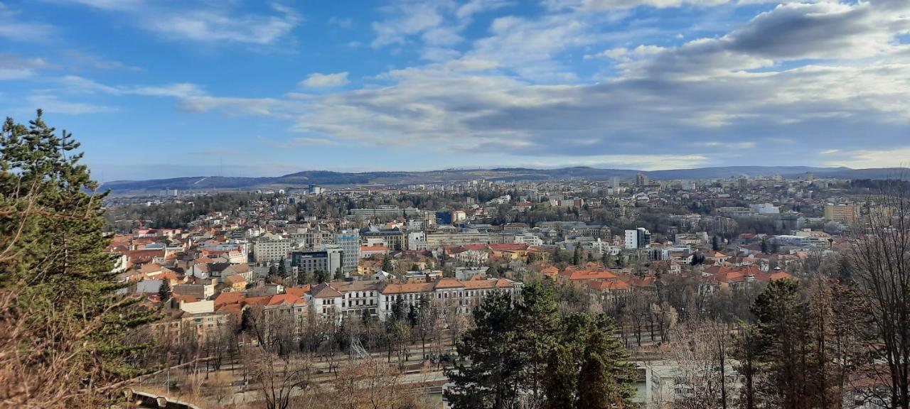 Farmec Studio Apartment Cluj-Napoca Ngoại thất bức ảnh